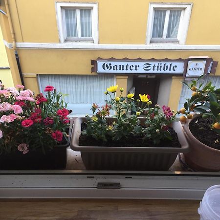 Homestay Waldshut-Tiengen Ngoại thất bức ảnh