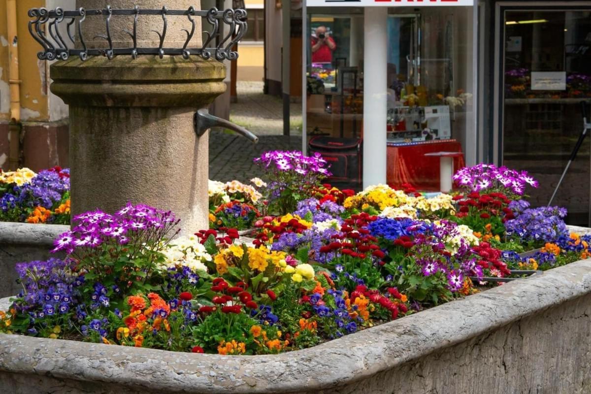 Homestay Waldshut-Tiengen Ngoại thất bức ảnh